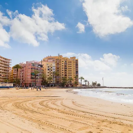 Garcia Gea Id87 Torrevieja