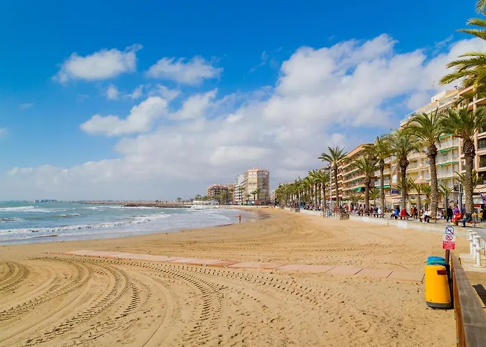 Garcia Gea Id87 * Torrevieja