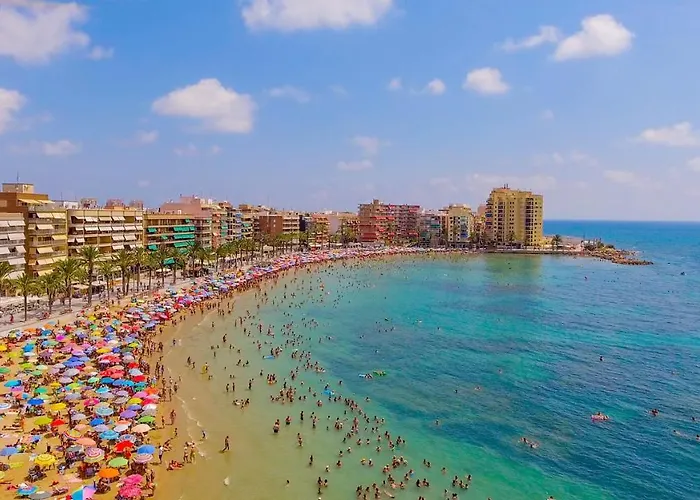 Garcia Gea Id87 Torrevieja